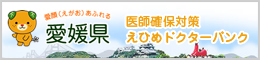 愛媛県 医師確保対策 えひめドクターバンク