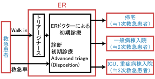 ER型