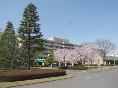 北里大学メディカルセンター 北里大学メディカルセンター臨床研修プログラム