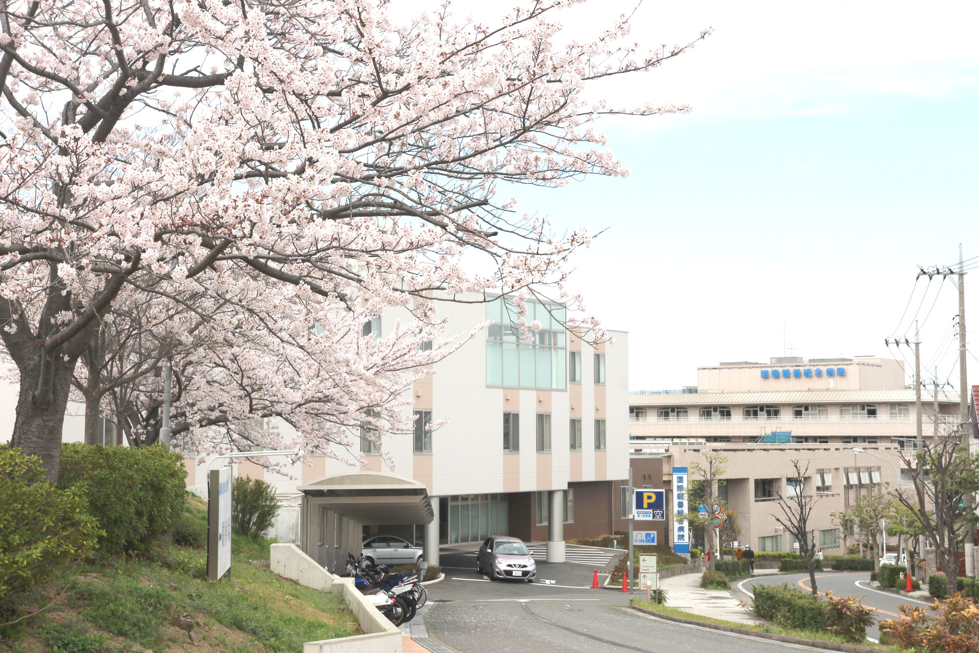 桜の綺麗な春の病院外観。駐車場の桜の下で、花見を行うこともあります。