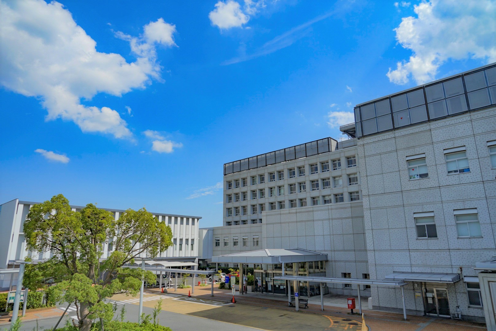 茅ヶ崎市立病院 茅ヶ崎市立病院臨床研修プログラムd