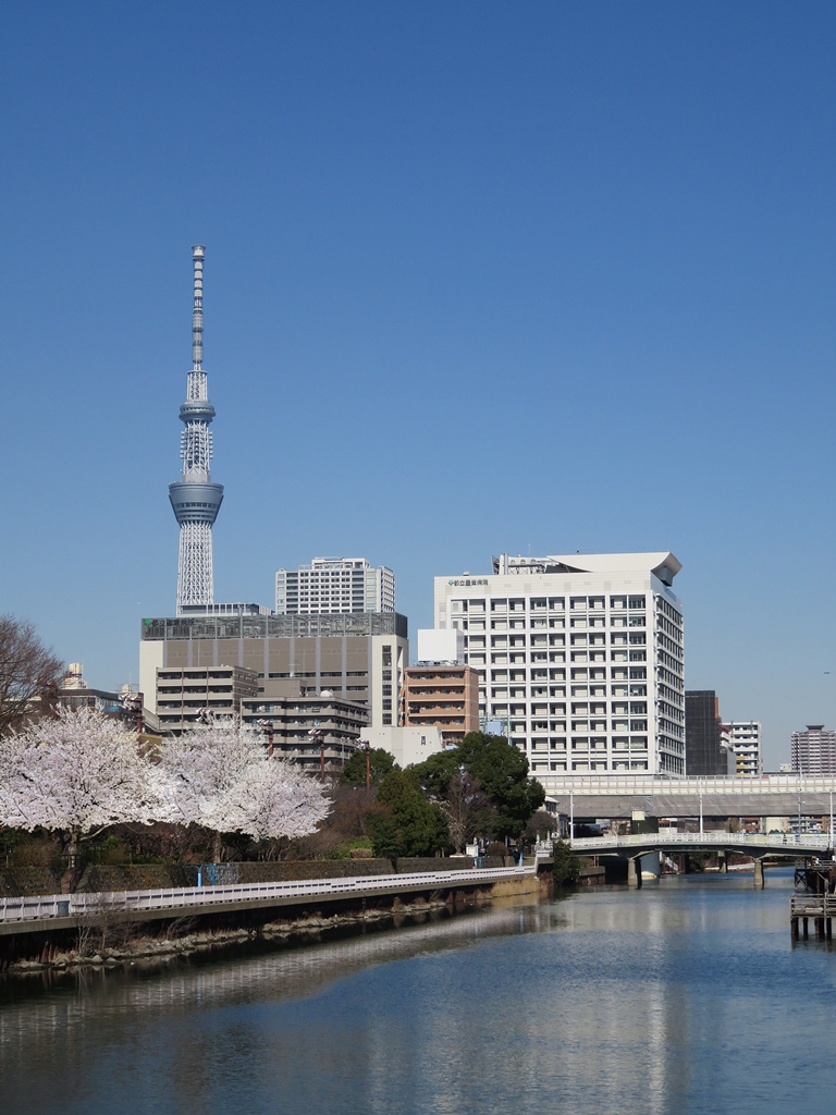 地方独立行政法人東京都立病院機構東京都立墨東病院