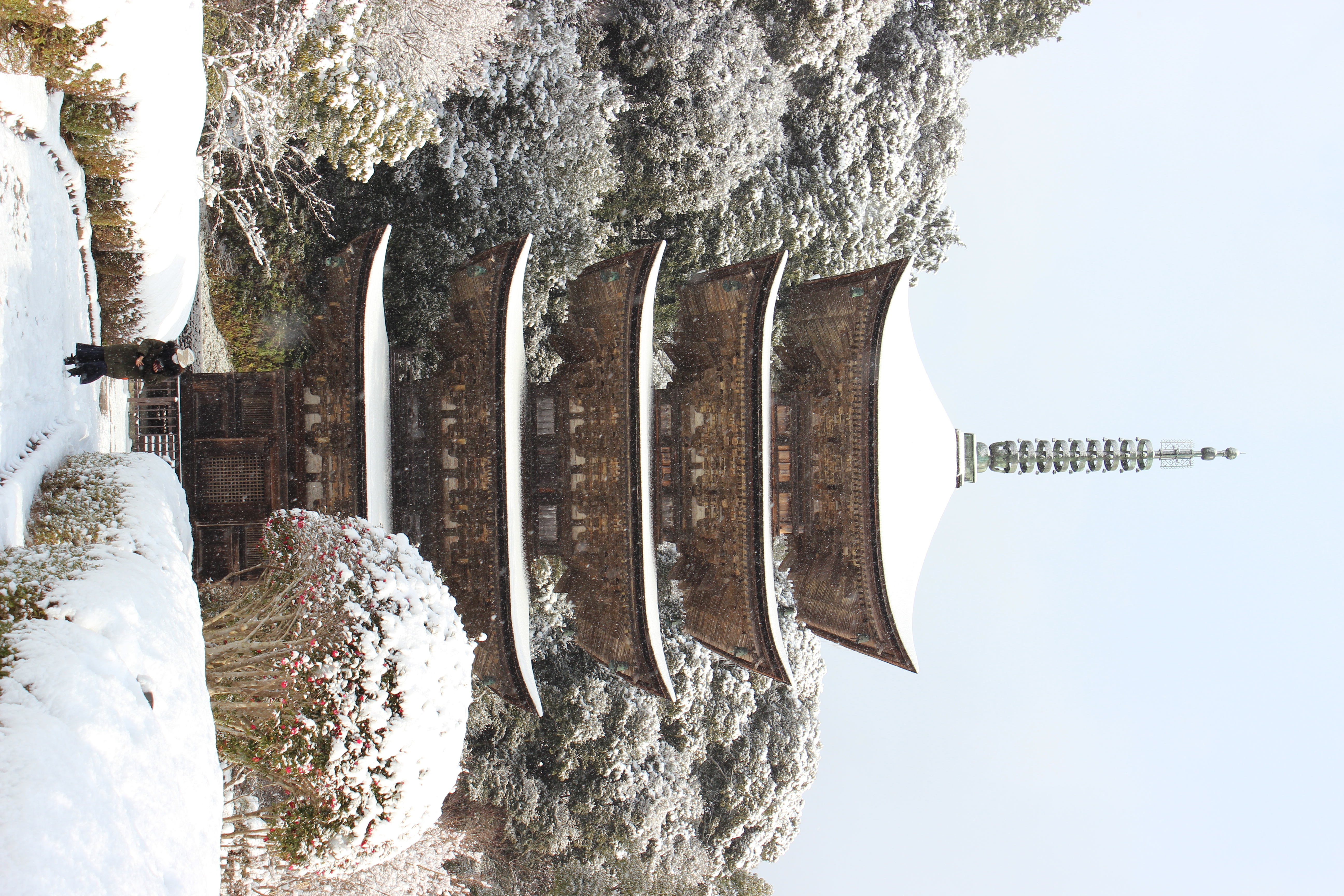 山口県庁のすぐそばにある瑠璃光寺。雪景色の中の五重塔です。