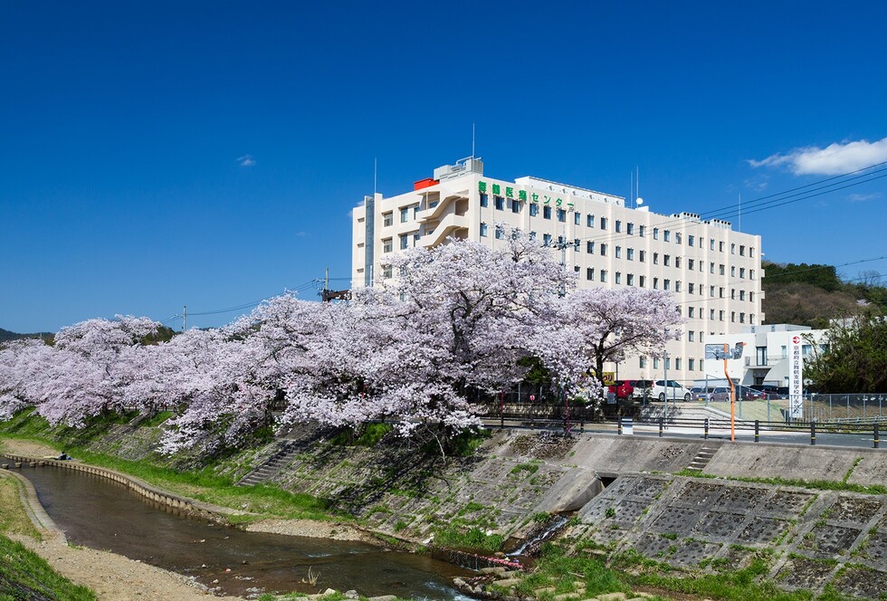 春には川沿いの桜並木がきれいに咲きます。