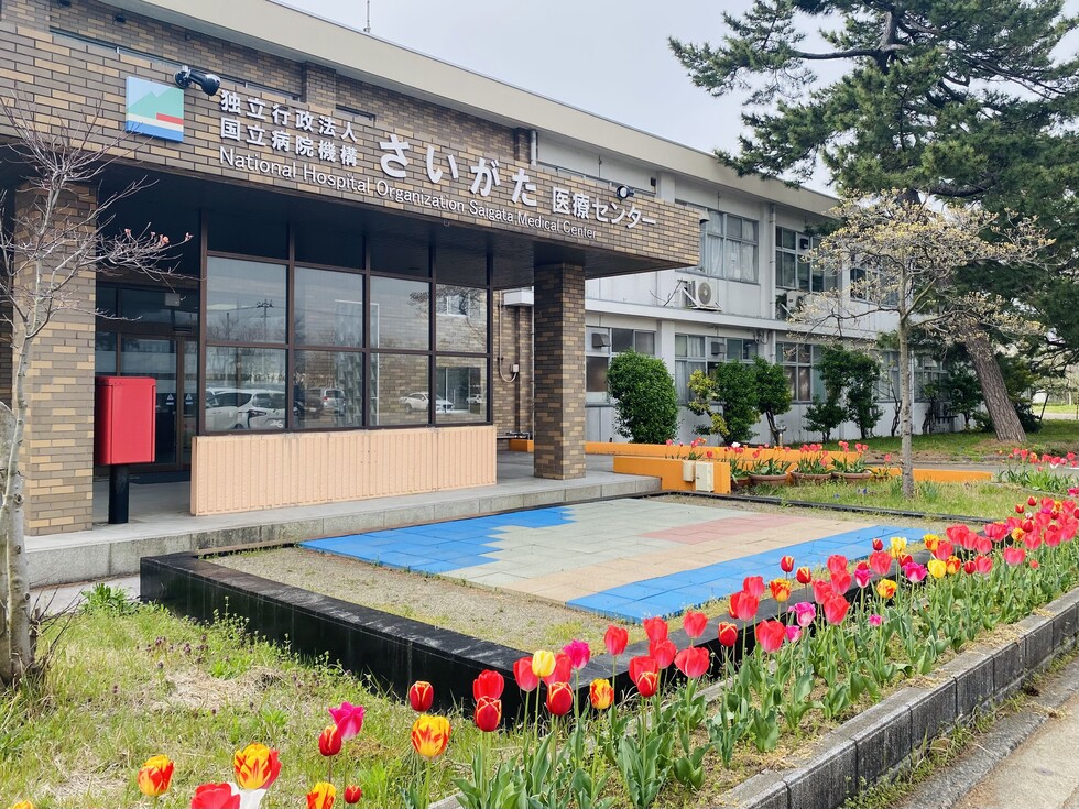 ■正面玄関とチューリップ