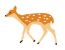 見逃し配信 奈良県Weekend