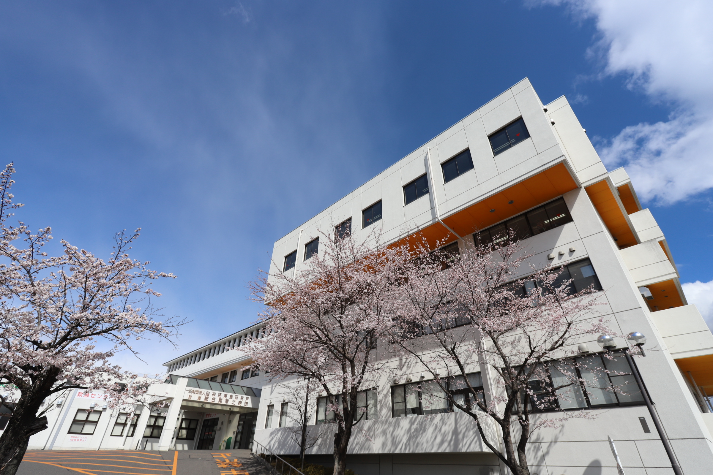 一般財団法人 脳神経疾患研究所 附属 総合南東北病院 脳神経疾患研究所附属総合南東北病院後期研修プログラム 眼科
